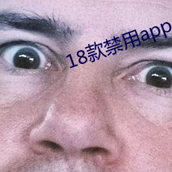 18款禁用app