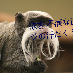 欲求 不(不)満な団(団)地妻と孕ませオヤジの汗だく 濃厚 中(中)出し不(不)