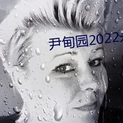 尹甸园2022永久免费