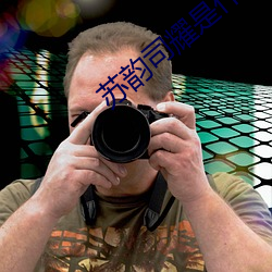 苏韵司耀是什么小说