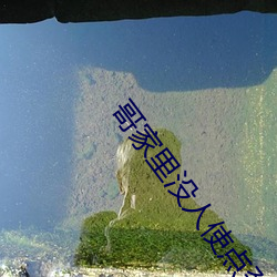 凯时|AG(AsiaGaming)优质运营商