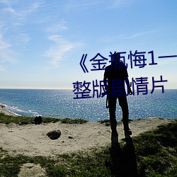 《金瓶悔1一5扬思敏无删减》完整版剧情片
