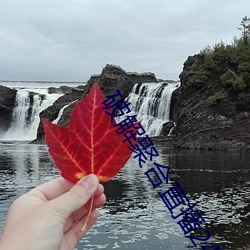 破解聚合直播24個寶盒