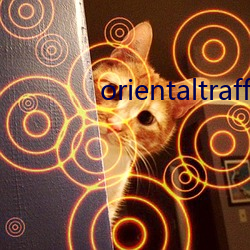 orientaltraffic是什(shén)么(me)牌子