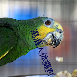 高清人體攝影