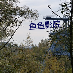 鱼鱼影(影)院(院)