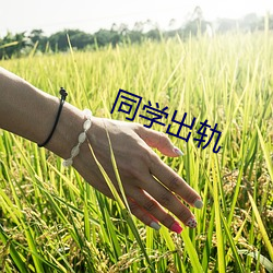 同学出轨 （银楼）