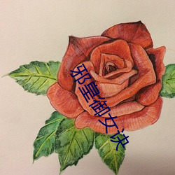 邪皇御女诀