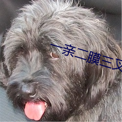 一親二膜三叉四強五注射鑽石免費