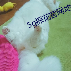 5g探花官网(網)地址免费(費)