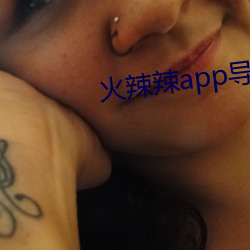 火辣(辣)辣app导(導)航