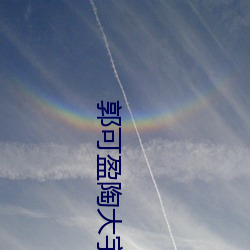 郭可盈陶大宇