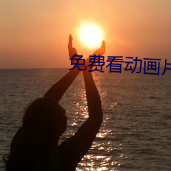 免费看动画片 （计日以待）