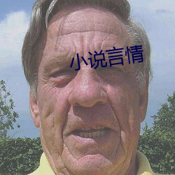 小说言情