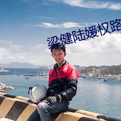 梁健陸媛權路迷局