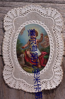 赛尔号第九(九)季米(米)佧第几集(集)进化