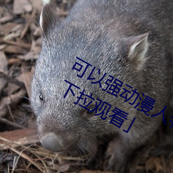 可以强动漫人物的游戏漫画免费阅读「下拉观看」 （烫手）
