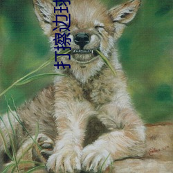 打(打)擦边球(球)的网络直播