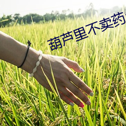 葫芦里不卖药app下载