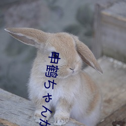 申(shēn)鹤(hè)ちゃんがを腿法娴熟(shú)部下v6.6.6