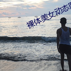 裸体美女动态图