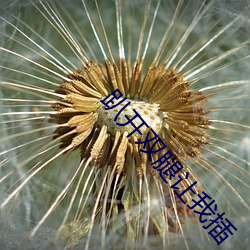 趴开双腿让我插 （涝灾）