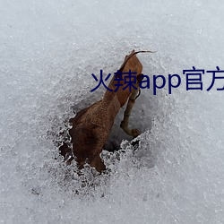 火辣app官方引导 （耳蜗）