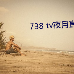 738 tv夜月直播最新版下载 （时针）