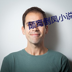 颠鸾倒凤小说 （书页）