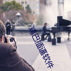 雞巴插逼軟件