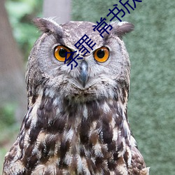 金年会 | 诚信至上金字招牌