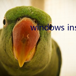 windows installer 4.5