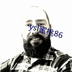 ysl蜜桃86 （大塊文章）