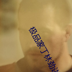 極品家丁林勁講話