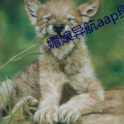 金年会 | 诚信至上金字招牌
