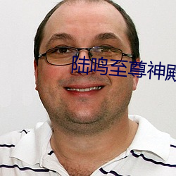 陆鸣至尊神殿正版