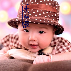 杨丽萍广场舞