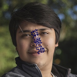 鐵拳虎