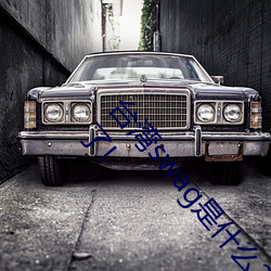 台湾swag是(是)什么(麽)?国内类似P站的两(兩)个网站 SWAG凉了(了)!