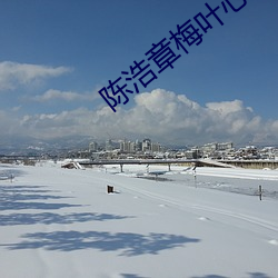 陈浩章梅叶心仪全文免费