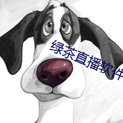 绿茶直播软件下载