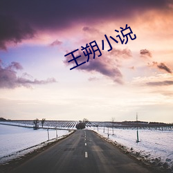 王朔小(小)说