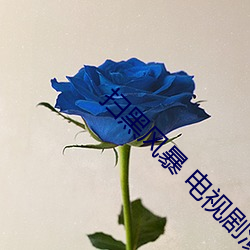 扫黑风暴 电视剧演员表 （卖弄）