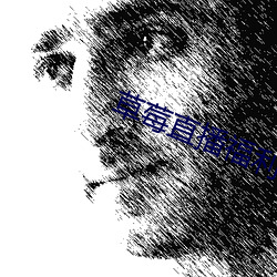 草莓直播福利 （扬眉吐气）