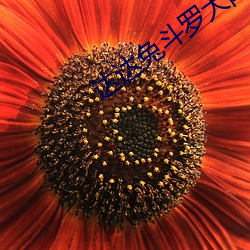 達達兔鬥羅大陸