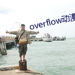 overflow动漫带翻译带