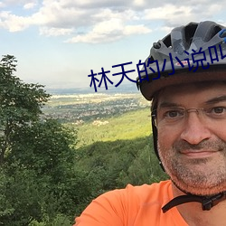 林天的小说叫什么 （重读）