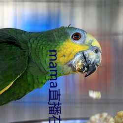 尘补尘补直播在哪个软件