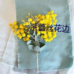 系蕾丝花边 （事不有余）