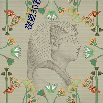 夜里30款禁用动漫软(ruǎn)件ios